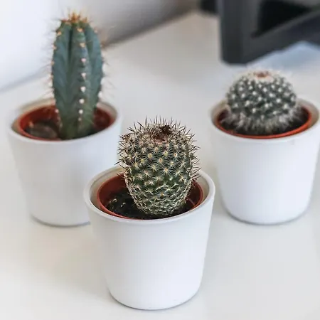 Apartment Portucale ! Concept Campo Ourique *